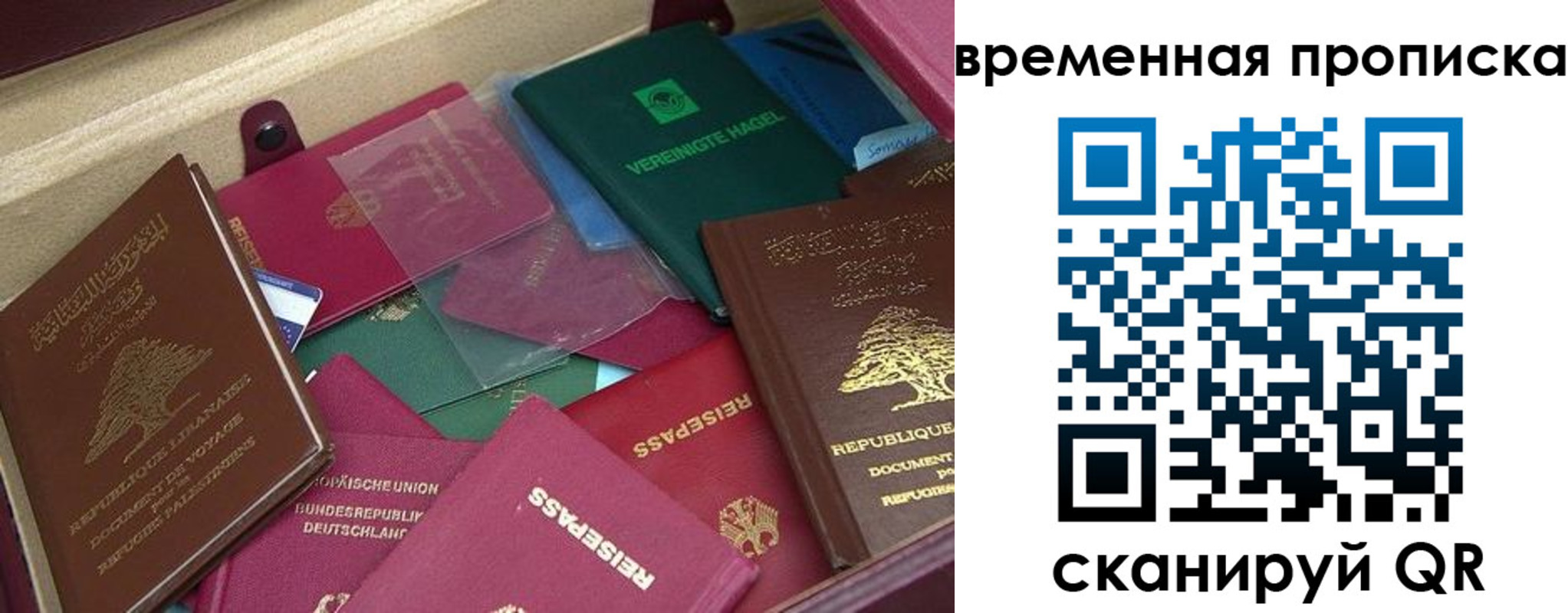 прописка в Колпашево